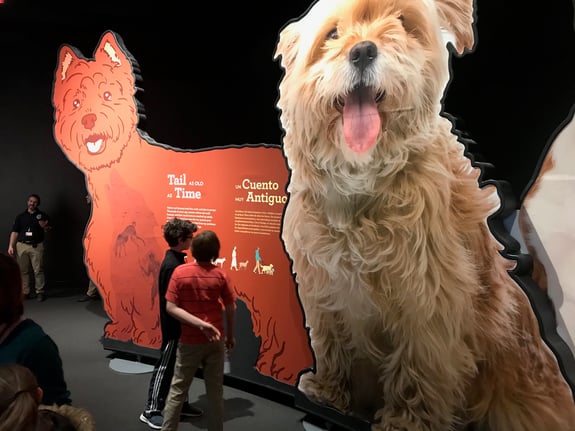 Two boys at entrance of dogs exhibit